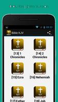 Bible Audio mp3 Free capture d'écran 2