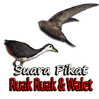 Pikat Ruak Ruak dan Walet MP3 আইকন