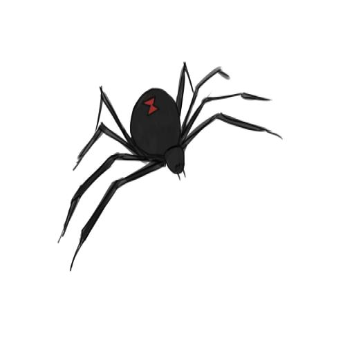 How To Draw A Spider For Android Apk Download