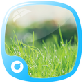 Natural Theme