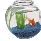 Fish Bowl ikon