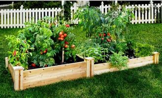 1 Schermata l'idea di piantare il giardinaggio domestico  PVC