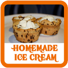 Homemade Ice Cream Recipes icône