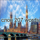 207 Russian and English words icon