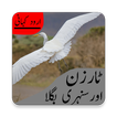 Urdu Kahani for Kids