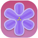 Beautiful Flower Theme APK