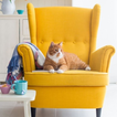 Best Yellow Accent Chairs Ideas