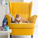 Best Yellow Accent Chairs Ideas-APK
