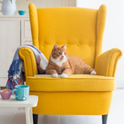 Best Yellow Accent Chairs Ideas 圖標