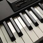 Learn and Play Piano icône