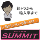 VIAN SUMMIT icon