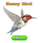HoneyBird & Bee 아이콘