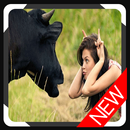 نكت ومواقف مضحكة عراقية APK