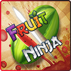 Fruits Slice Ninja icon