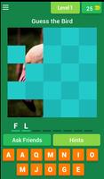Guess The Animal 海报