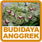 Budidaya Anggrek icône