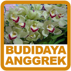 Budidaya Anggrek icon