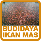 Budidaya Ikan Mas biểu tượng