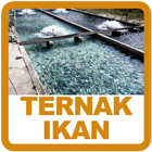 Budidaya Ternak Ikan আইকন