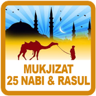 Mukjizat 25 Nabi & Rasul icône