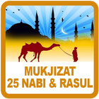 Icona Mukjizat 25 Nabi & Rasul