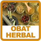 Obat Herbal Tradisional ícone