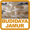 Panduan Budidaya Jamur