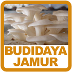 Panduan Budidaya Jamur 圖標