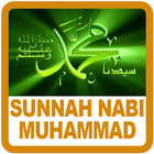 Sunnah Harian Nabi Muhammad آئیکن