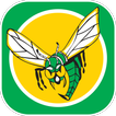 Hornets App