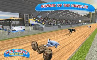 Classical Dog Hurdle Race 2017 plakat