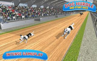 Classical Dog Hurdle Race 2017 screenshot 1
