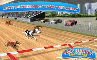Classical Dog Hurdle Race 2017 скриншот 2