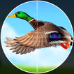 森ダックスナイパーハンター - 鳥の狩猟ゲーム