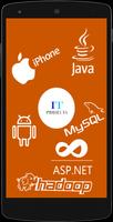 IT Projects poster
