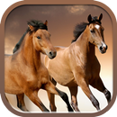 Horses slideshow & Wallpapers APK