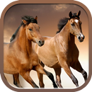 Horses slideshow & Wallpapers aplikacja