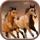 Horses slideshow & Wallpapers icône