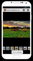 Horses slideshow & Wallpapers plakat