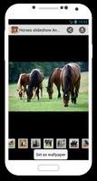Horses slideshow & Wallpapers ảnh chụp màn hình 1