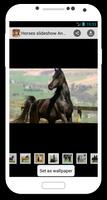 Horses slideshow & Wallpapers capture d'écran 2