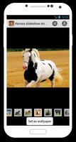 Horses slideshow & Wallpapers ảnh chụp màn hình 3