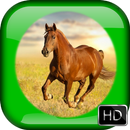 Horse wallpapers APK