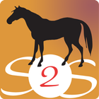 Horse Course Teaching Zeichen