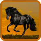 Horse Wallpapers 2016 icon