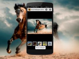 Horse Wallpapers 2016 screenshot 1