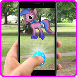 Pocket Horse and Pony Go!