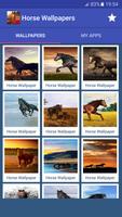 Free Horse Wallpaper : Horse Wallpapers اسکرین شاٹ 1