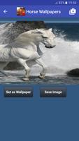 Free Horse Wallpaper : Horse Wallpapers 截圖 2