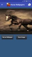 Free Horse Wallpaper : Horse Wallpapers capture d'écran 3
